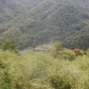 무릉도원면-26 이미지