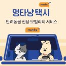 멍타냥 이미지