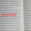 라이온 북스