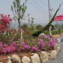 행복민박 이미지