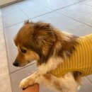 용인죽전1동우체국 이미지