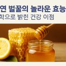 해돋이농장 이미지