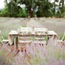 라벤더하우스 이미지