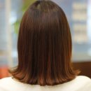 지오헤어 이미지