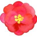 플로힐즈