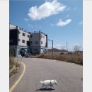 손커피연구소 이미지