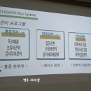 라라샵영주