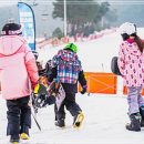 그래이 | 지산리조트 어린이 스키강습 그래이스키 만족 후기