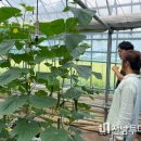 광양시 농업기술센터 기술보급과 이미지