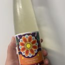제주본초협동조합 티스토리