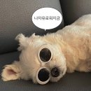 요가라이프