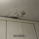 경기도 수원시 팔달구 권광로340번길 이미지
