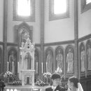 김나진 카카오 검색결과