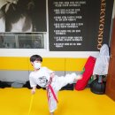 경희 라이온 태권도장 이미지