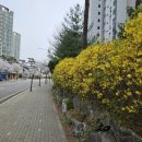 골드라인공인중개사사무소 이미지