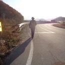 성곡리농로 Daum카페
