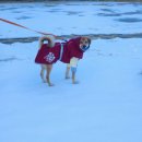 스마트동물병원 이미지