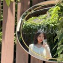 리베볼 | 성주 리베볼 수국 절정 능소화 개화현황 실시간 후기