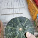 올래청과