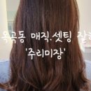 주리미장