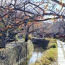 별스런 산책 이미지