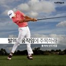 풀파워 Daum카페
