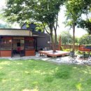 고양이숲 이미지