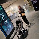 아트카스토리 | 평창 가볼만한곳 이나트, 실내 미디어아트 전시관 아이와 여행 코스