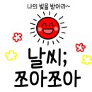 김여사야채과일