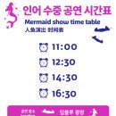 씨 라이프 | 서울 코엑스 씨라이프 아쿠아리움 후기｜할인 예매부터 인어공연 시간까지 한 번에 정리