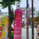특별한 보통날N 네이버블로그