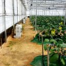 도걸농장 이미지