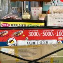 싹쓰리 아이스크림할인점 이미지