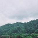 메밀꽃필무렵 - 상주시 상산로 356-1 | 메밀꽃필무렵