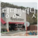 댕댕 | 정읍 강아지 카페 추천｜아이들과 가기 좋은 댕댕플래닛 솔직 후기