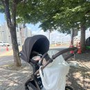 오토플러스 - 시흥시 오동마을로 34 | 하이브리드 사이러스2 플러스 절충형 오토폴딩 유모차 | 내돈내산 찐 사용 후기