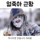 샐러루 이미지
