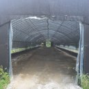 지연농장 이미지