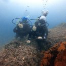 신중로13번길 이미지