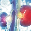 이진석내과의원 이미지