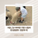 경기도 안성시 안성3동주민센터 | 서울 근교 아이랑 주말 나들이 동물 체험부터 다양한 즐길거리까지 안성팜랜드 방문후기!