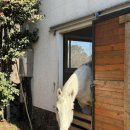 어울림목장 이미지