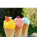 진한소프트 이미지