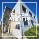 스테이 다로 이미지