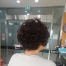 룻헤어커커