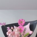 소도화