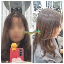 미도텔레콤 - 구로구 도림로20길 10 | 수내역 가성비 저렴한 미용실 추천 헤어작 매직세팅 중단발 레이어드C컬펌 (반곱슬, 옆광대 사각턱 땅콩...
