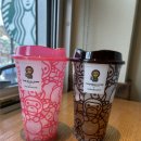 포항시청 | 스타벅스 베이프 마일로 리유저블 컵 포항 대이점, 포항 시청 웨이팅 성공 후기