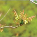 옥천영농조합법인 이미지