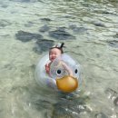 조은컴퍼니